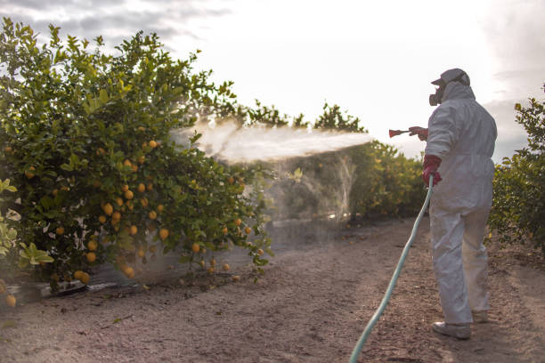 Insect Control in South Corning, NY